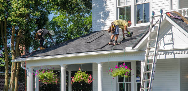 Best Roof Gutter Cleaning  in Anchorage, AK