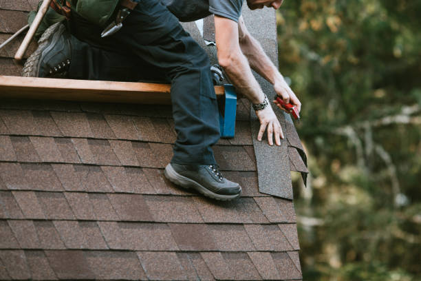 Best Roof Maintenance Services  in Anchorage, AK